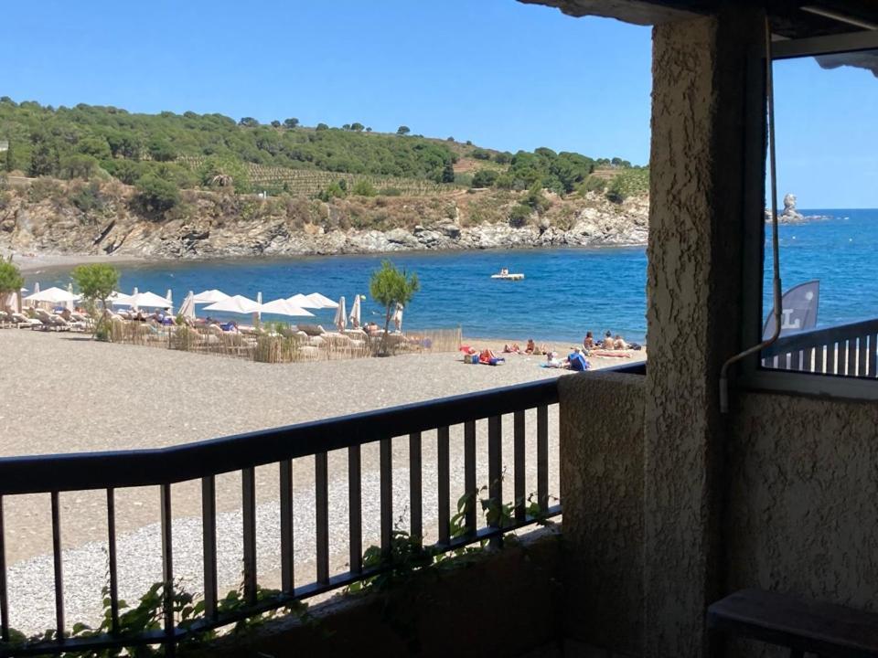 Les Pieds Dand L'Eau Apartman Banyuls-sur-Mer Kültér fotó